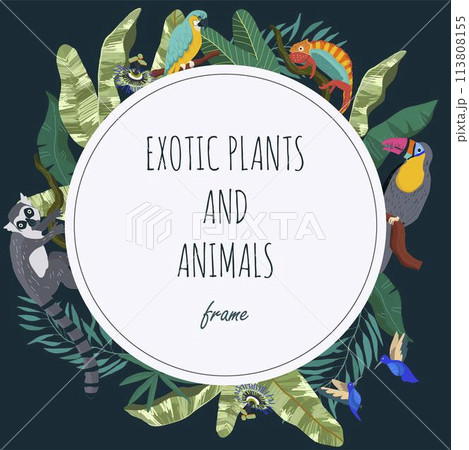 Hand drawn flat exotic flora and fauna round frame background with wild animals and tropical plants Hand drawn flat exotic flora and fauna round frame background with wild animals and tropical plants 113808155