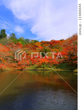 秋の用作公園(豊後大野市・縦構図) 秋の用作公園(豊後大野市・縦構図) 113808444