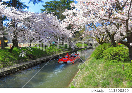【富山県】松川べりと松川遊覧船と満開の桜 113808899