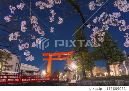 京都 平安神宮の大鳥居と夜桜 京都 平安神宮の大鳥居と夜桜 113809031