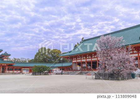平安神宮　外拝殿と満開の左近の桜 113809048