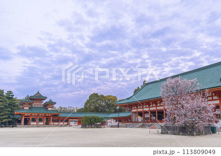 平安神宮　外拝殿と満開の左近の桜 113809049
