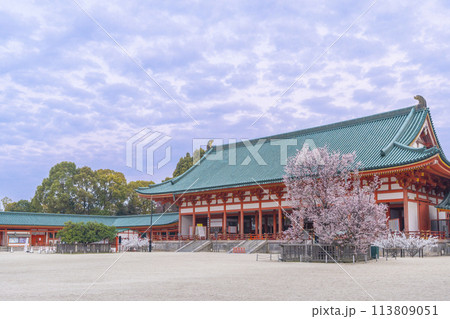 平安神宮　外拝殿と満開の左近の桜 113809051