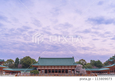 平安神宮　外拝殿と満開の左近の桜 113809073