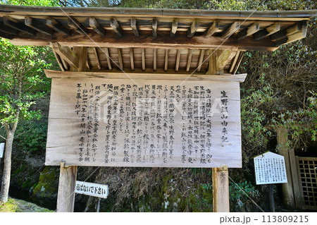 兵庫県生野市「生野銀山」金香瀬旧坑露頭群と坑道 兵庫県生野市「生野銀山」金香瀬旧坑露頭群と坑道 113809215