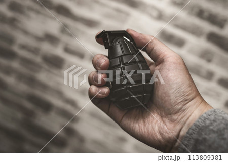 手榴弾を持つ男性 113809381