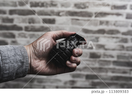 手榴弾を持つ男性 手榴弾を持つ男性 113809383
