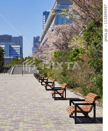 公園のベンチ 113809497