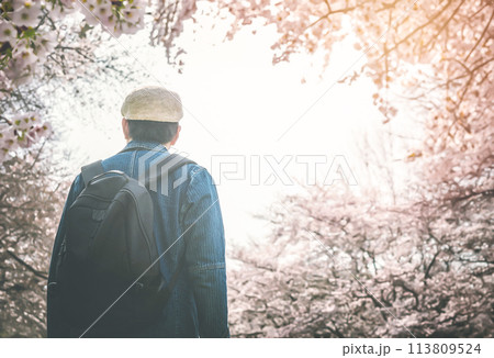 春の散策 春の散策 113809524