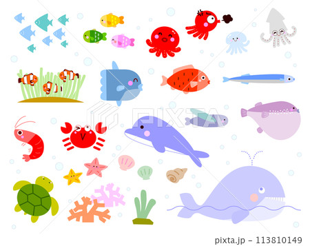 かわいい海の生き物イラストセット 113810149