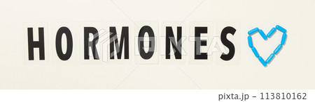 The word hormones on a light background. The word hormones on a light background. 113810162