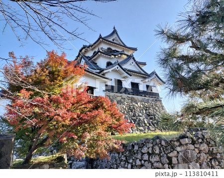 金亀城の石垣 国宝 ／ 写真 113810411