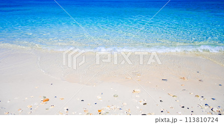 きれいな南国のビーチ 113810724