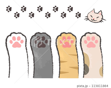 肉球と猫の足跡のセット 肉球と猫の足跡のセット 113811864