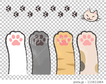 肉球と猫の足跡のセット 肉球と猫の足跡のセット 113811864