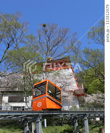 紀三井寺 ケーブルカー 桜満開 和歌山市 紀三井寺 ケーブルカー 桜満開 和歌山市 113812079