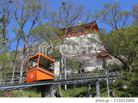 紀三井寺　ケーブルカー　桜満開　和歌山市 113812080