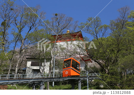 紀三井寺　ケーブルカー　桜満開　和歌山市 113812088