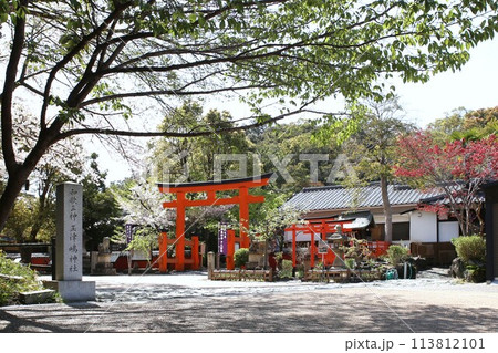 玉津島神社 桜満開 和歌山市 絶景 玉津島神社 桜満開 和歌山市 絶景 113812101