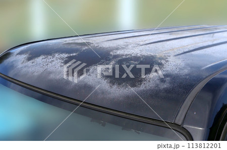 車の塗装劣化　塗装はげ　　板金塗装 113812201