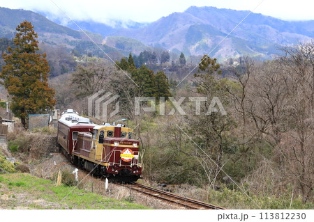 わたらせ渓谷鐵道「山々背景に走るトロッコわたらせ渓谷号」 113812230