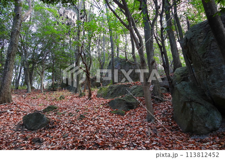 山の中の大岩群 山の中の大岩群 113812452