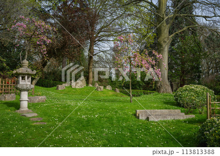 Kyoto Garden, a Japanese garden in Holland Park, London, UK. Holland Park is a public park with woods and formal gardens in the London borough of Kensington. 113813388