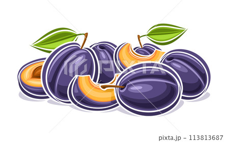 Vector logo for Plum 113813687