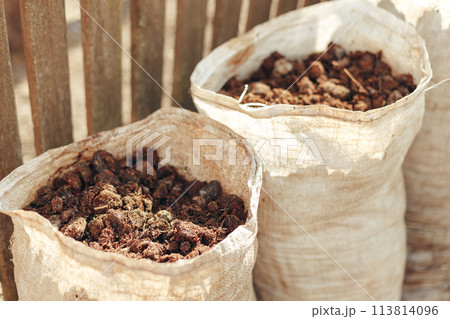 Bags of horse manure on a farm Bags of horse manure on a farm 113814096