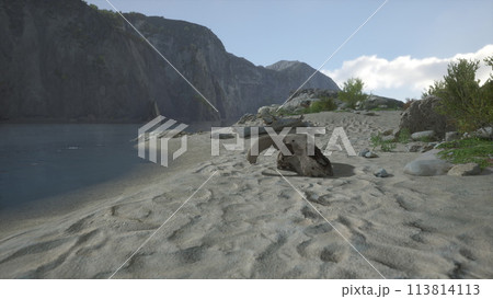 A close up of a animal skull on a beach A close up of a animal skull on a beach 113814113