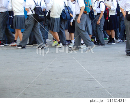 修学旅行生の集団 113814214