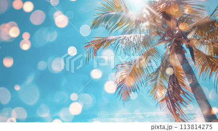 青い海とヤシの木 AI画像 青い海とヤシの木 AI画像 113814275