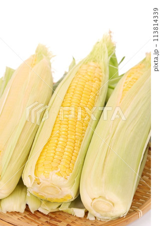 トウモロコシを茹でる準備　薄皮を残す　ザル　明るい背景 113814339