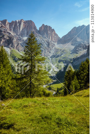 landscape with mountains, meadow and trees 113814900
