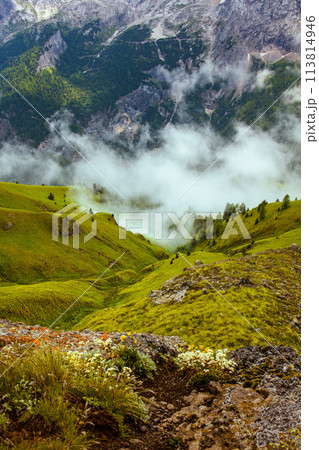 landscape with mountains, hills, rocks, trees and fog landscape with mountains, hills, rocks, trees and fog 113814946