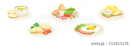 Tasty Egg Dish Served on Plate with Yolk and Garnish Vector Set 113815276