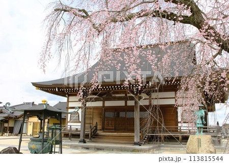 高宗寺 高宗寺 113815544