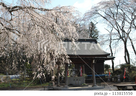 高宗寺 113815550