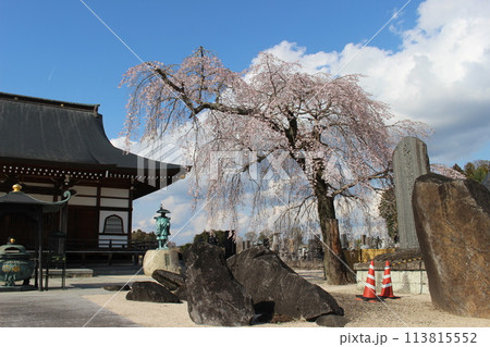 高宗寺 113815552