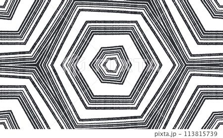Textured stripes pattern. Black symmetrical 113815739