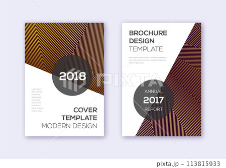 Modern cover design template set. Gold abstract li Modern cover design template set. Gold abstract li 113815933