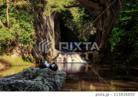 濃溝の滝で鴨が休んでいます 113816850