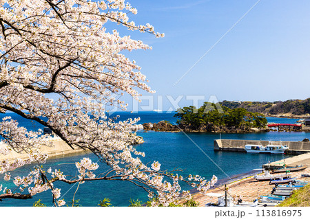 【新潟県・佐渡】早春の佐渡航路・両津湾 4月 【新潟県・佐渡】早春の佐渡航路・両津湾 4月 113816975