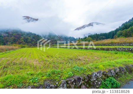 岐阜県白川村 晩秋の二番穂が成長した山間の水田 岐阜県白川村 晩秋の二番穂が成長した山間の水田 113818026