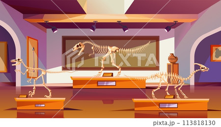Paleontological museum. Archeology history fossil exhibit cartoon interior, extinct animal dinosaurs bone skeleton ancient prehistoric world paleontology recent vector illustration 113818130