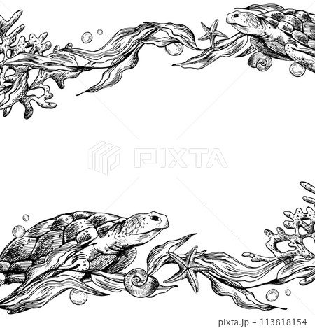 Underwater world clipart with sea animals turtle, shells, bubbles, coral and algae. Graphic illustration hand drawn in black ink. Template, frame EPS vector. 113818154