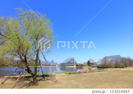 【富山県】快晴の富山県中央植物園の北池 113818487