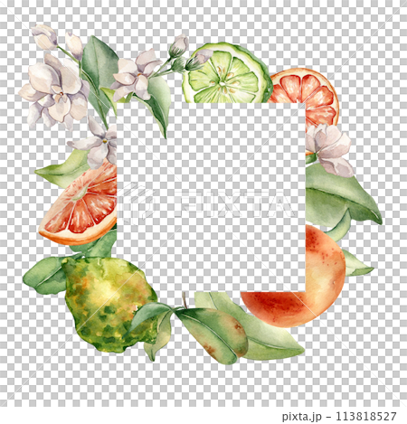 Frame with assorted green, orange fresh citrus. Fruit tree branches watercolor illustration isolated. Hand drawn bergamot and flowers jasmine in botanical sketch style for print products, package Frame with assorted green, orange fresh citrus. Fruit tree branches watercolor illustration isolated. Hand drawn bergamot and flowers jasmine in botanical sketch style for print products, package 113818527