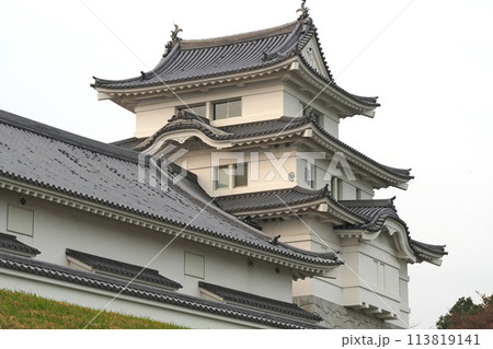 関宿城博物館の天守閣【千葉県野田市】 113819141