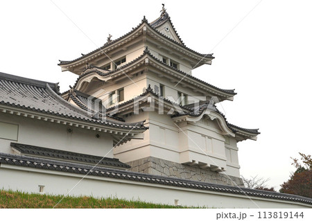関宿城博物館の天守閣【千葉県野田市】 関宿城博物館の天守閣【千葉県野田市】 113819144